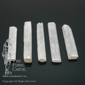 Rough selenite sticks varying in size against a black background