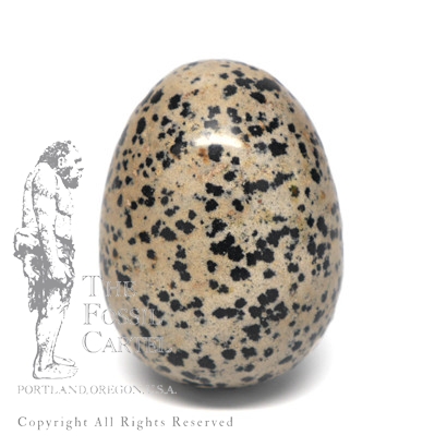 Dalmatian Stone Egg