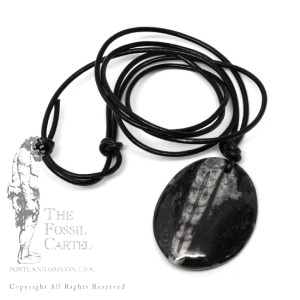 fossil jewelry from oregon