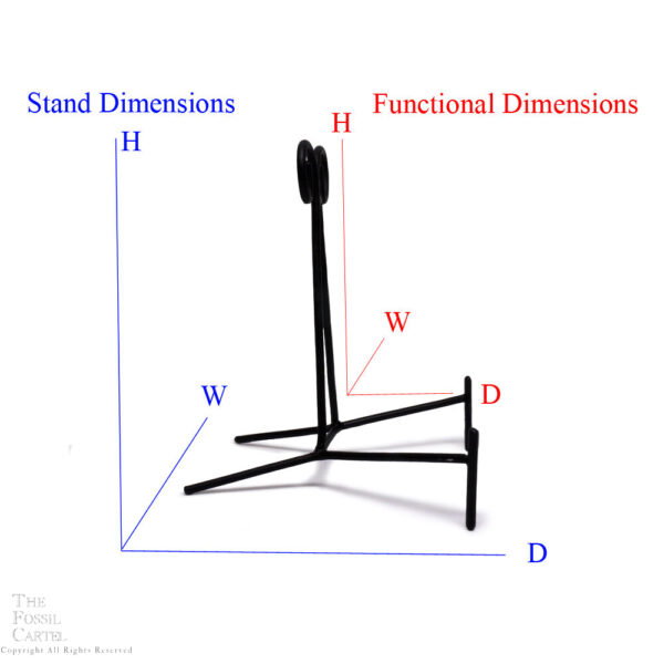 Stand Dimensions Diagram
