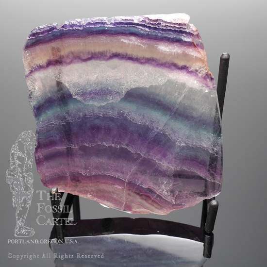 4 Display Stand Geode Rock Fossil Holder Shell Amethyst Agate Easel Stand 2" 