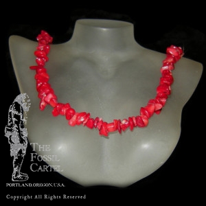 A red coral chip necklace against a black background