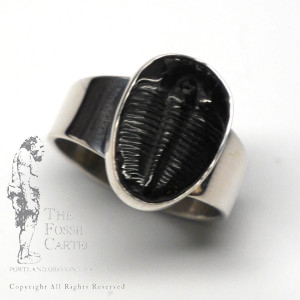 Trilobite Fossil Sterling Silver Ring