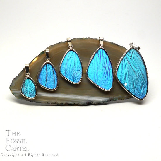 Blue Morpho Butterfly Wing Sterling Silver Pendants