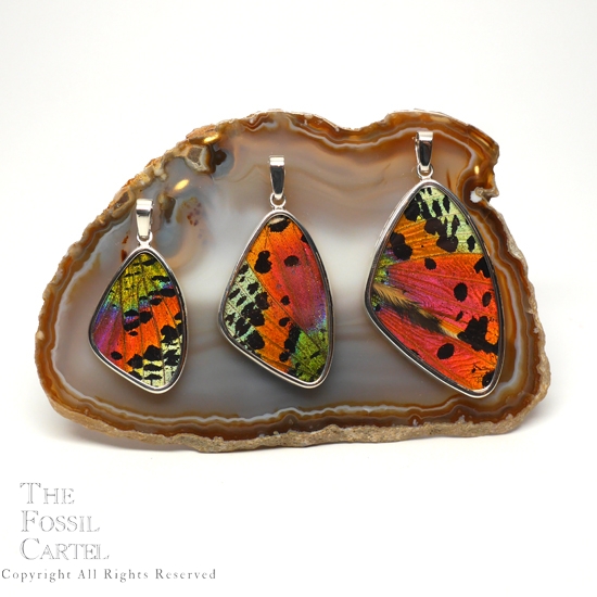Madagascar Sunset Moth Butterfly Wing Sterling Silver Pendants