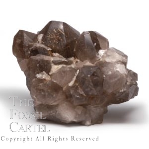Large Smoky Quartz Crystal Cluster with Rutile