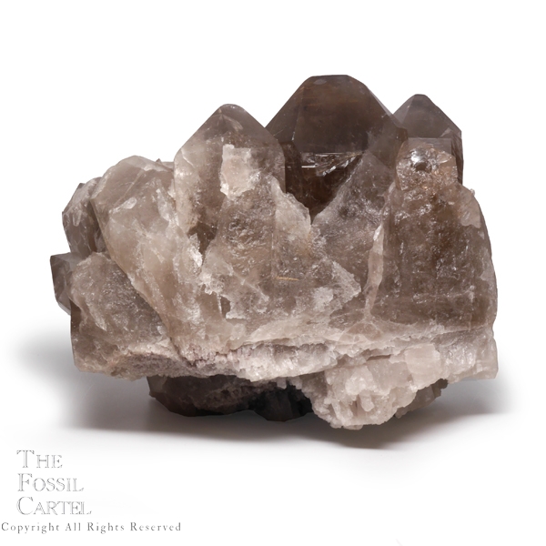 Large Smoky Quartz Crystal Cluster with Rutile