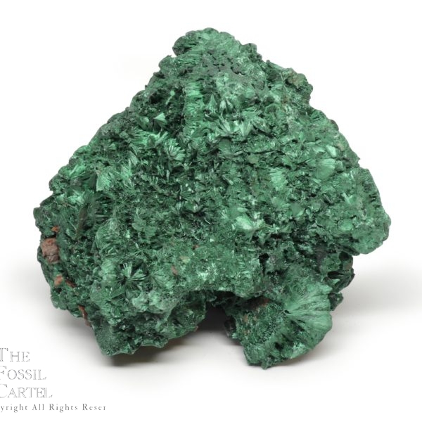 Fibrous Malachite - Image 2