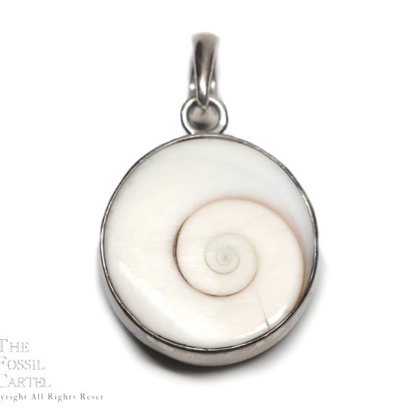 Shiva Shell Circular Sterling Silver Pendant