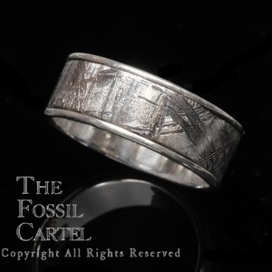 Muonionalusta Meteorite and Sterling Silver Ring; Size 9 1/2
