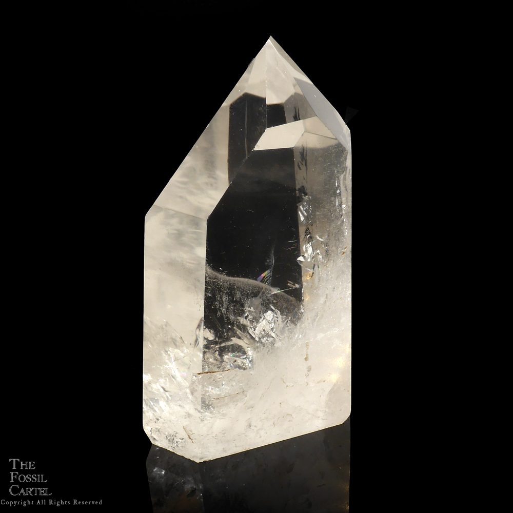 Clear Quartz Polished Crystal Point The Fossil Cartel