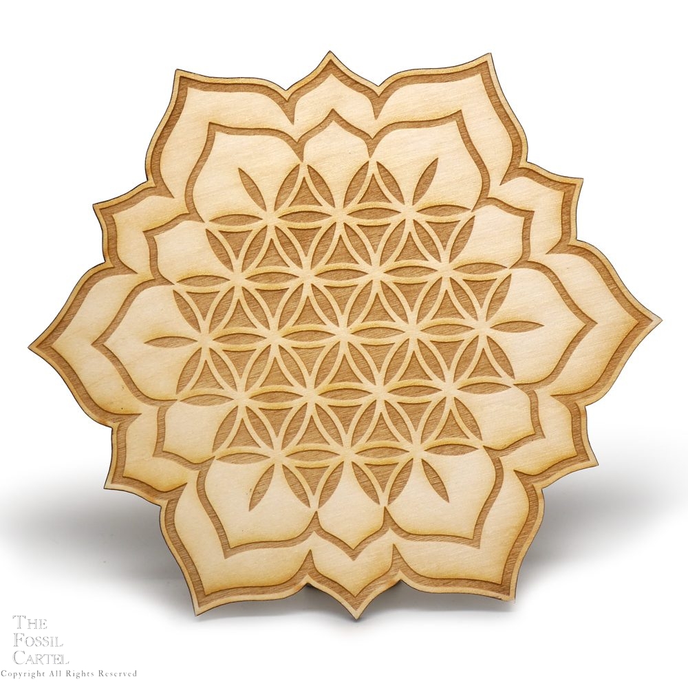 How To Use Flower Of Life Crystal Grid Best Flower Site