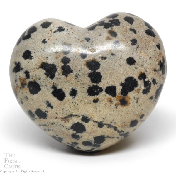 Dalmation Stone Heart