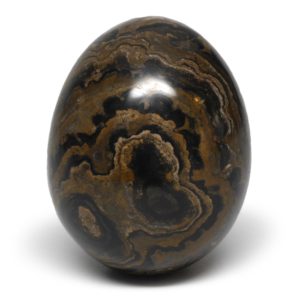 Stromatolite Egg