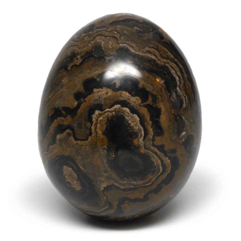 Stromatolite Egg The Fossil Cartel