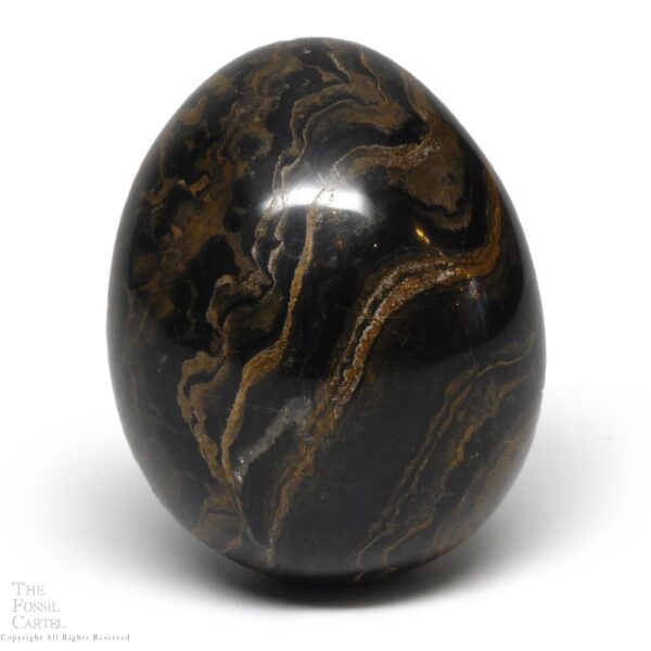 Stromatolite Egg