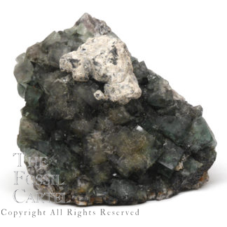 A dark green fluorite cluster from New England against a white background