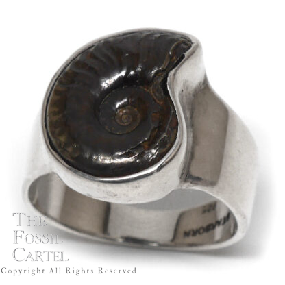 Ammonite Fossil Sterling Silver Ring; Size 9 1/2