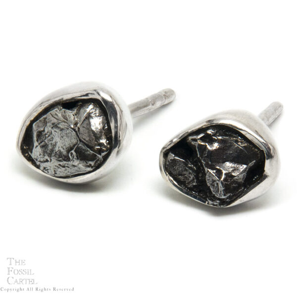 Meteorite Sterling Silver Stud Earrings