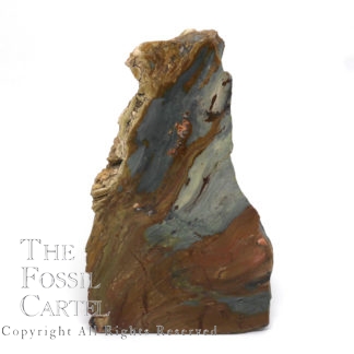 Gary Green Bog Fossil Stand-Up