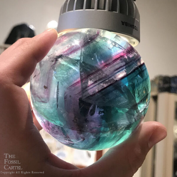 A rainbow fluorite sphere backlit to display its internal crystalline structure