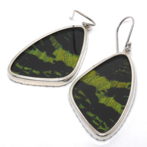 Green Butterfly Wing Sterling Silver Earrings