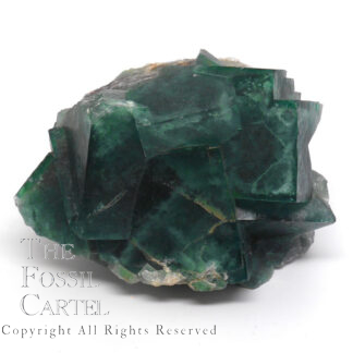 A deep green fluorite cluster from Madagascar against a white background