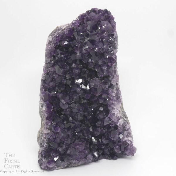 Amethyst Crystal Cluster Stand-Up from Uruguay