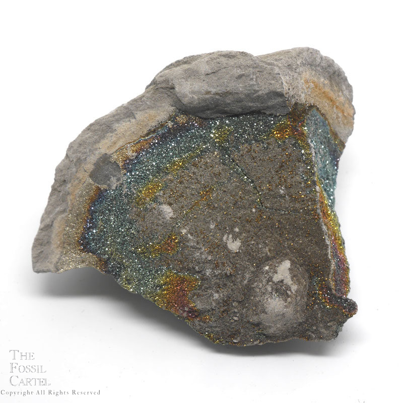 50 \u0445 35 mm ammonite with silver pyrite geode rainbow pyrite, marcasite,spectropyrite designer cabochon30