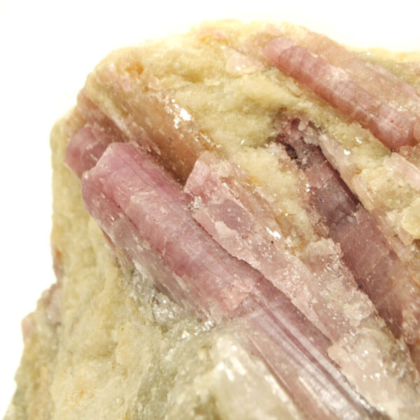 Rubellite (pink tourmaline) crystals with aquamarine inclusions in quartz matrix against white background
