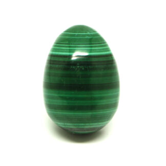 A piece of malachite carved and polished into an egg against a white background