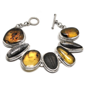 A sterling silver bracelet featuring a trilobite fossil, two orthoceras fossils, and amber against a white background