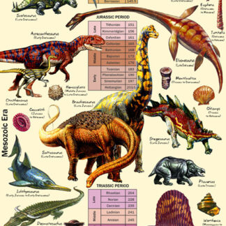 Poster: Geological Time and the History of Life