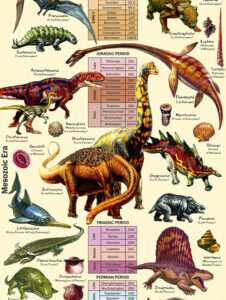Poster: Geological Time and the History of Life