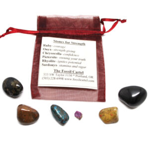 A healing pouch set featuring tumbled sardonyx, chrysocolla, pietersite, rhyolite, onyx, and a ruby crystal with a red mesh pouch against a white background