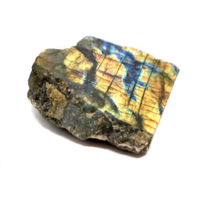 A piece of half polished labradorite with intense flashes of color against a white background
