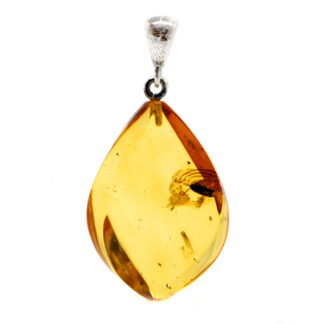 A piece of polished amber with a prehistoric insect trapped inside made into a pendant with a sterling silver bail against a white background