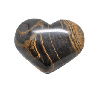 Stromatolite Fossil Heart