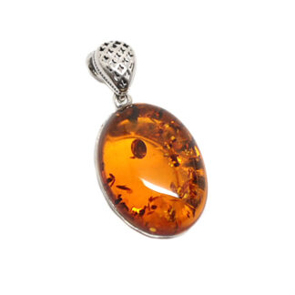 slice Stage Turns into Amber Oval Sterling Silver Pendant - The Fossil Cartel