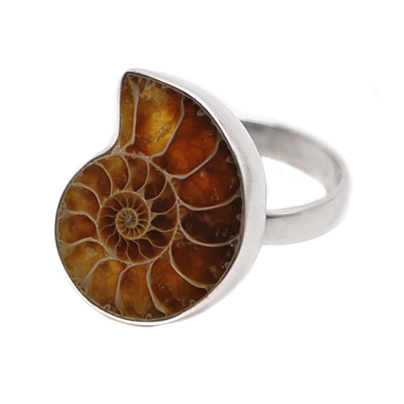 Unisex Sterling Silver Ammonite Fossil Ring