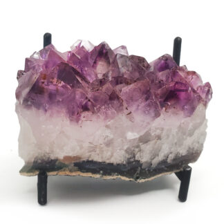 An amethyst cluster on a black display stand against a white backround.