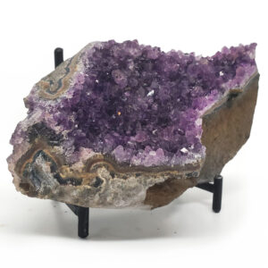 A small amethyst cluster on a black display stand against a white backround