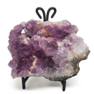 A medium amethyst cluster on a black display stand against a white backround.