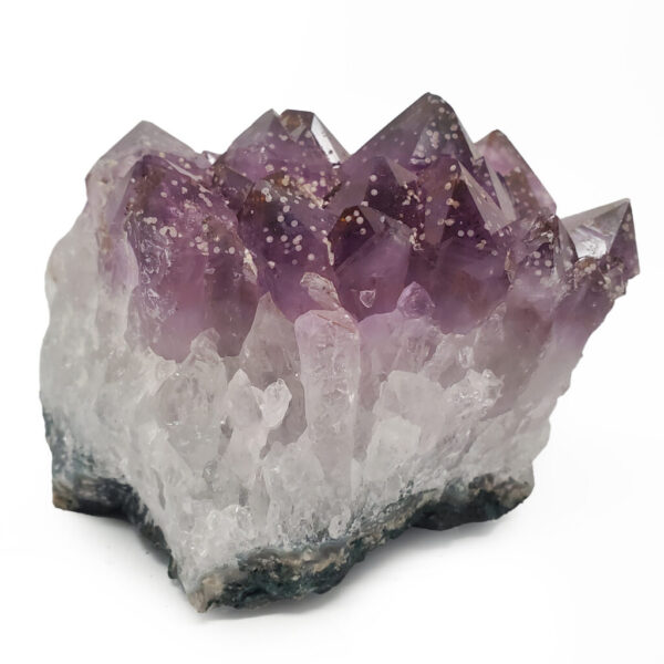 A medium amethyst cluster against a white backround