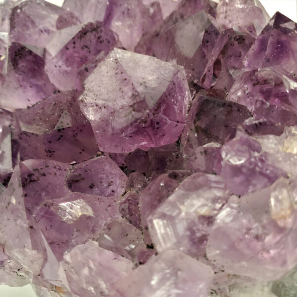 An amethyst cluster close up against a white backround.