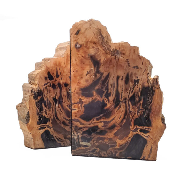 A Petrified wood fossil cut into halves creating symetrical ends, against a white background