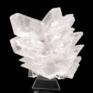 Selenite Angel Wings on a clear display stand against a black backround
