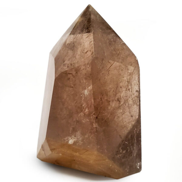 Rutilated Smoky Quartz Crystal photographed behind a white background