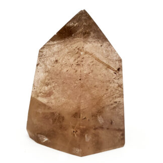 Rutilated Smoky Quartz Crystal photographed behind a white background