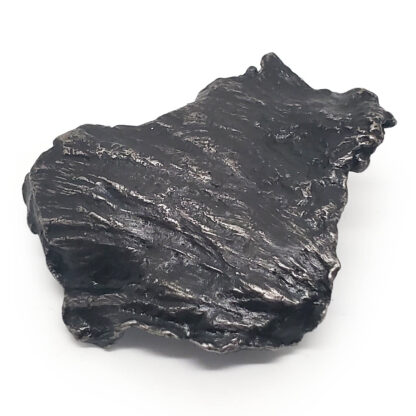 Sikhote-Alin Meteorite photographed against a white background